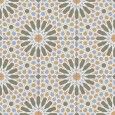 ALHAMBRA GREEN NATURAL 60x60 - Aparici APARICI CERAMICA - 1