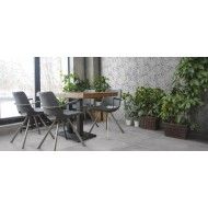 REPLACE GRIGIO RETTIFICATO 30X60 - RAGNO R4PE RAGNO  - 1