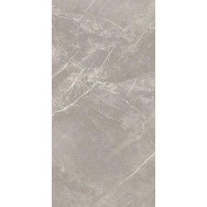 ELEMENTAL STONE GREY DOLOMIA  GLOSSY 30X60 RECTIFIED  - CERIM 766630