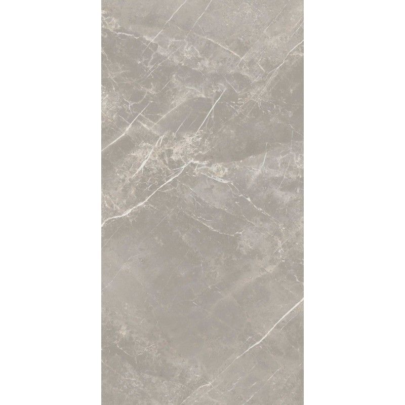 ELEMENTAL STONE GREY DOLOMIA  LUCIDO 60X120 RETTIFICATO - CERIM 766528
