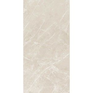 ELEMENTAL STONE WHITE DOLOMIA GLOSSY 60X60 RECTIFIED - CERIM 766950