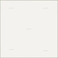 VETRI BIANCO LUCIDO RETTIFICATO  20X60 - Ceramiche REFIN ND75 REFIN - 1