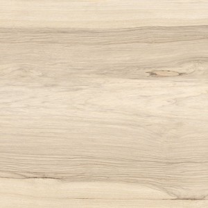 SFRIDO FRAKÉ AVORIO 60X120 RECTIFIED   - Ceramica Fioranese SFF621R FIORANESE CERAMICHE - 1