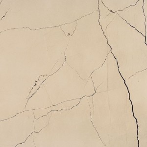 SOUND OF MARBLES BEIGE ANTICO 30X60 POLISHED  RECTIFIED  - Ceramica Fioranese M4362LR FIORANESE CERAMICHE - 1