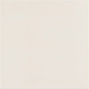 UNICOLORE BIANCO B TECHNIC R10 20x20 cm - CASALGRANDE PADANA 401104 CASALGRANDE PADANA - 1