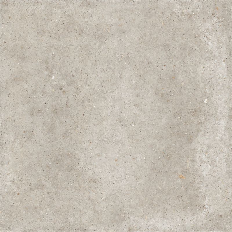 ANIMA BEIGE AJUSTEE 10X60 - Ceramica Ariana PF60007813 DESVRES ARIANA - 1