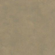 LUCE ORO RETTIFICATO 60X120 - Ceramica Ariana PF60006160 DESVRES ARIANA - 1