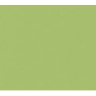 ARCHITECTURE  ACID GREEN 60x60 9,4M - Casalgrande Padana  3600012 CASALGRANDE PADANA - 1