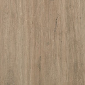 TAVOLATO MARRONE CHIARO 60X120 SQ - CASALGRANDE PADANA 3460243 CASALGRANDE PADANA - 1