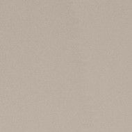 PARADE Argento 120x120 Monocaliber Rectified Smooth Polished Bottom - Ceramica d'Imola PRTU 120AG LV CERAMICA D'IMOLA - 1