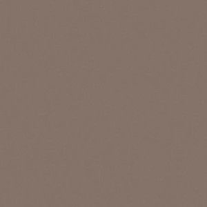 UNICOLORE  GRIGIO CENERE TECHNIC R10 30X30 - CASALGRANDE PADANA   701102 CASALGRANDE PADANA - 1