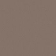 UNICOLORE  GRIGIO CENERE ROCCIA 12MM 20x20 - CASALGRANDE PADANA   192002 CASALGRANDE PADANA - 1