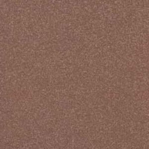 GRANITO 1  COLORADO ANTIBACTERIAL 20X20  - CASALGRANDE PADANA   405828 CASALGRANDE PADANA - 1