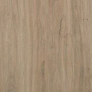 TAVOLATO  TAVOLATO MARRONE CHIARO ANTIBATTERICO 20X120 - CASALGRANDE PADANA  3625843 CASALGRANDE PADANA - 1