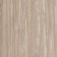 CLASS WOOD  CLASS DOVE GREY ANTIBACTERIAL 60x120 - CASALGRANDE PADANA 10465866 CASALGRANDE PADANA - 1