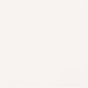 UNICOLORE BIANCO A TECHNIC R10 30x30 cm - CASALGRANDE PADANA 701101