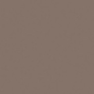 UNICOLORE GRIGIO CENERE 12MM 20x20 12MM cm - CASALGRANDE PADANA 190002