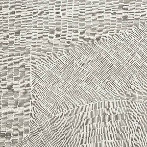 FOSSIL Brown Rectified   60X60 - REFIN  LT83 REFIN - 1