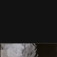 GLOSSY BRICK BLACK 7,3X30 AJUSTEE FIORANESE CERAMICHE - 1