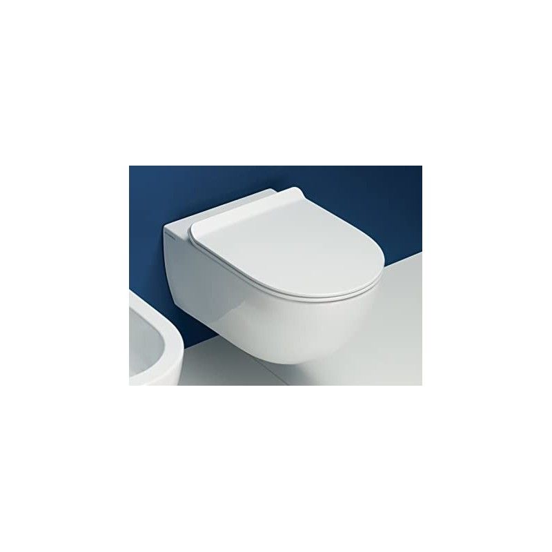 APP VASO SOSPESO APP CON SISTEMA GOSILENT  COMPLETO DI COPRIVATER - Ceramica Flaminia AP118S CERAMICA FLAMINIA - 1