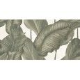 LUDO GIADA DEKOR BANANO REKTIFIZIERT  60x120 -  J91062 Ceramiche Rondine CERAMICA RONDINE - 1