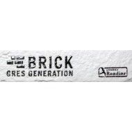 NEW YORK WHITE FIRMA BRICK  6x25 -  J85875 Ceramiche Rondine CERAMICA RONDINE - 1