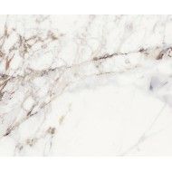 CALACATTA VIOLA POLISHED 59,55X59,55 - Apavisa APAVISA - 1