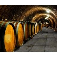 REGENERATION BLACK NATURAL 44,63X89,46 - Apavisa APAVISA - 1