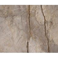 WILD FOREST GREY NATURAL MIX 119,3X119,3 - Apavisa APAVISA - 1