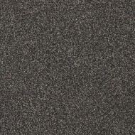 GRANITO 1 ONTARIO TECHNIC R10 12MM 20x20  - CASALGRANDE PADANA   191124 CASALGRANDE PADANA - 1