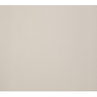 ARCHITECTURE  DARK IVORY ANTIBACTERIAL 60x120 9,4 - CASALGRANDE PADANA  4145756 CASALGRANDE PADANA - 1