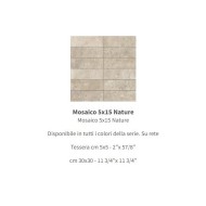 NATURE MOSAIQUE NATURE TERRA 5X15 30x30 - CASALGRANDE PADANA 13704591 CASALGRANDE PADANA - 1