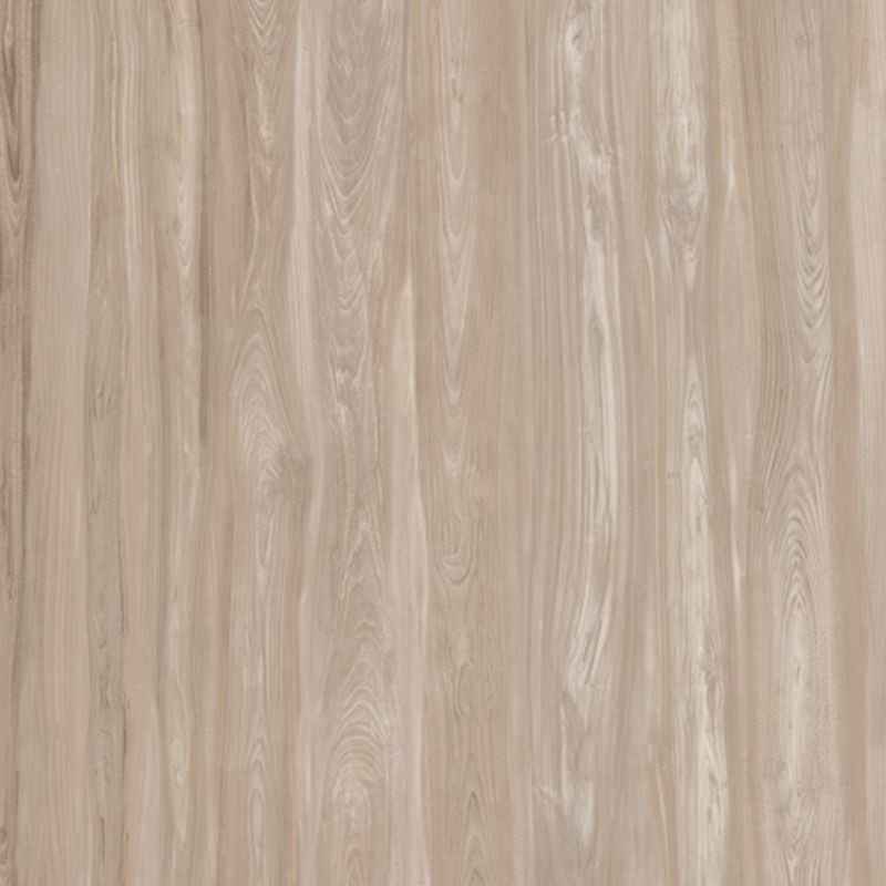 CLASS WOOD CLASS DOVE GREY ANTIBACTERIAL 20x120 - CASALGRANDE PADANA 10105866 CASALGRANDE PADANA - 1
