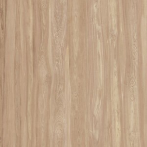 CLASS WOOD CLASS BROWN ANTIBACTERIAL 20x120 - CASALGRANDE PADANA 10105868 CASALGRANDE PADANA - 1