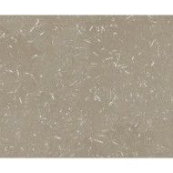 BARRO BROWN NATURALE 12,5X50 12,28X49,68 APAVISA APAVISA - 1