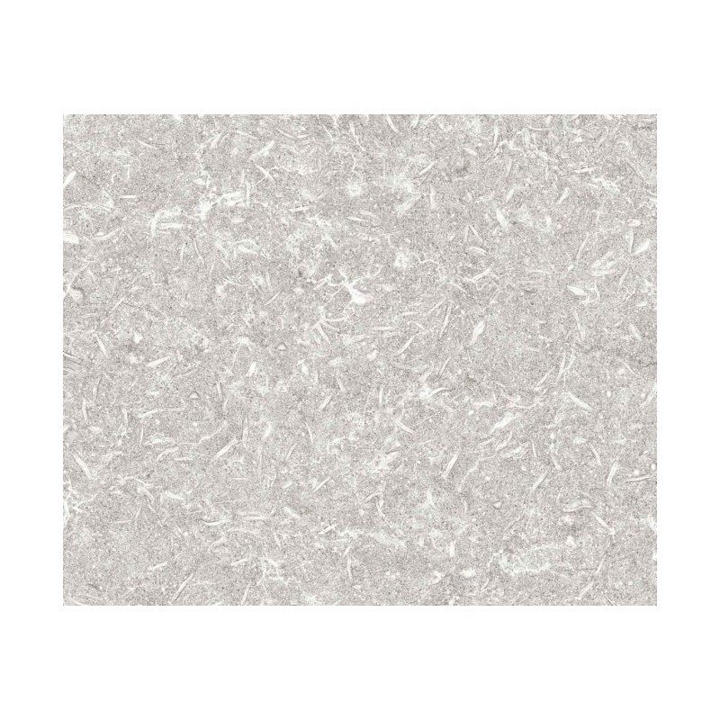 TRACK GREY NATURAL 49,75X99,55 APAVISA APAVISA - 1