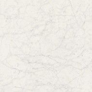 MARMOREA BIANCO GIOIA 60X60R Fioranese 0MM600R FIORANESE CERAMICHE - 1