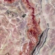 PREZIOSI PLUM POLISHED   120X260 - Rak Ceramics RAK CERAMICS TILE - 1