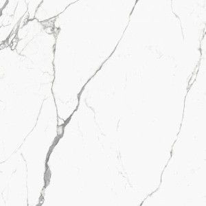 PRESTIGIO 120x120 STATUARIO APUANO GLOSSY SQ - REFIN OY43 REFIN - 1