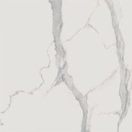 Statuario Bianco Bianco 120x120 POLISHED - CERDOMUS 96584 CERDOMUS - 1