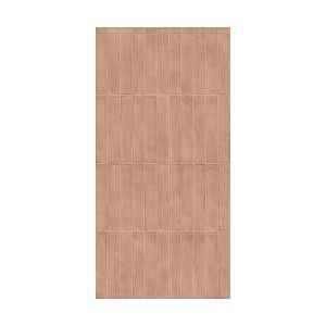 AMURI COTTO 5,3X30 - RAGNO RC8R RAGNO  - 1