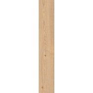 SECRET MIELE SQ 20X120 - RAGNO RC6N RAGNO  - 1