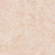 AROMAS Rosé E Sugar 60x120 9mm - GIGACER 9ARODROSESUG60120 GIGACER - 1
