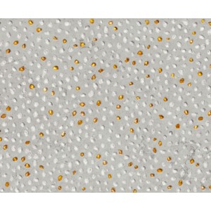 MOON  GREY VOLCANO 29,75X89,46 - APARICI APARICI CERAMICA - 1