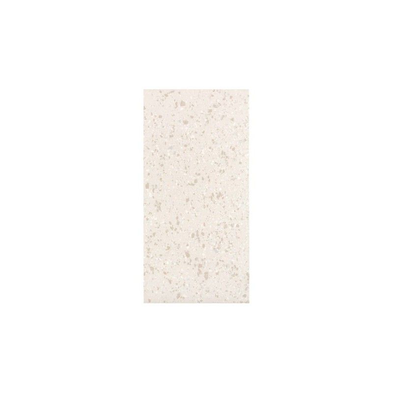 TERRAZZOTECH BEIGE BRILLANT 60x60 10MM - CASALGRANDE PADANA 16607126 CASALGRANDE PADANA - 1