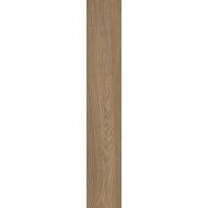 CLASS WOOD CLASS WALNUT ANTIBACTERIAL 9MM 20x120 - CASALGRANDE PADANA 10105769 CASALGRANDE PADANA - 1
