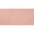 R-EVOLUTION LIGHT PINK R10 9MM 60x120 9MM - CASALGRANDE PADANA 11721135 CASALGRANDE PADANA - 1