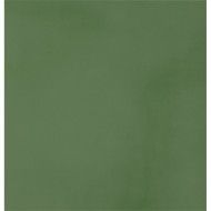R-EVOLUTION GREEN 9MM 60x60 9MM - CASALGRANDE PADANA 11740034 CASALGRANDE PADANA - 1