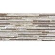 EVOLUTA CAVE MULTICOLOR 30X60 - CERAMICHE PIEMME 03611A PIEMME CERAMICHE - 1