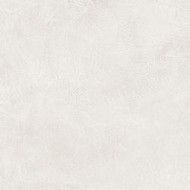 SIXTY  TALCO SILKTECH 60X120 SQ - EMILCERAMICA  EKPP EMILCERAMICA - 1